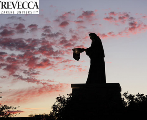 Statue at TNU
