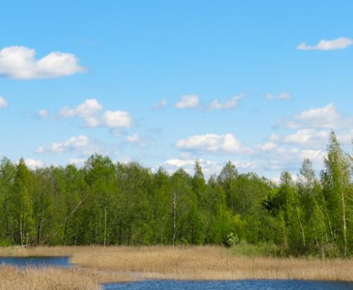 In Memoriam boat house lake