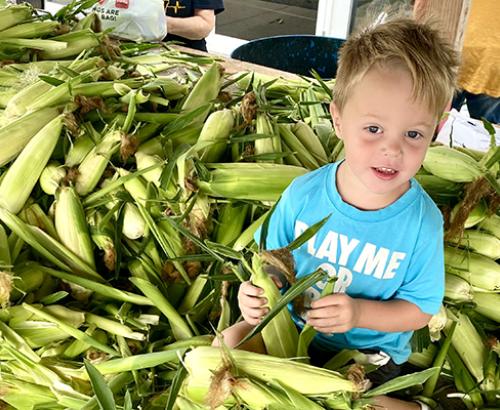 Corn