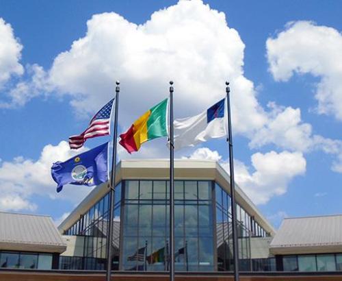 Mali flag.jpg