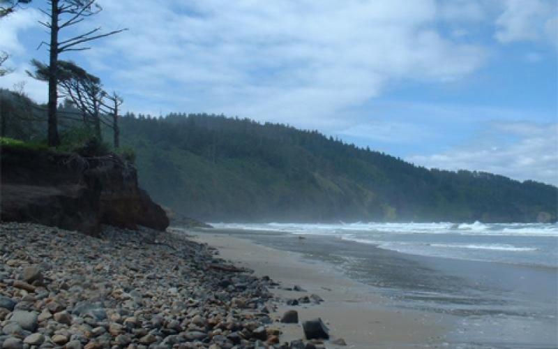 Cape Lookout state park Oregon