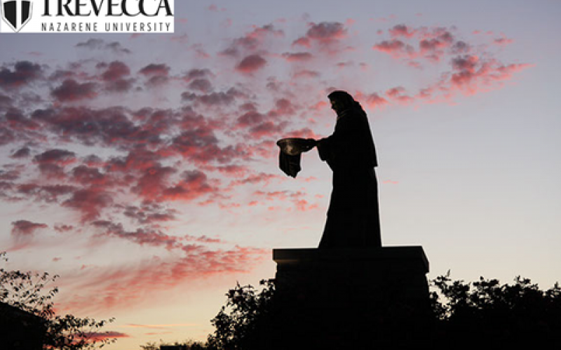 Statue at TNU