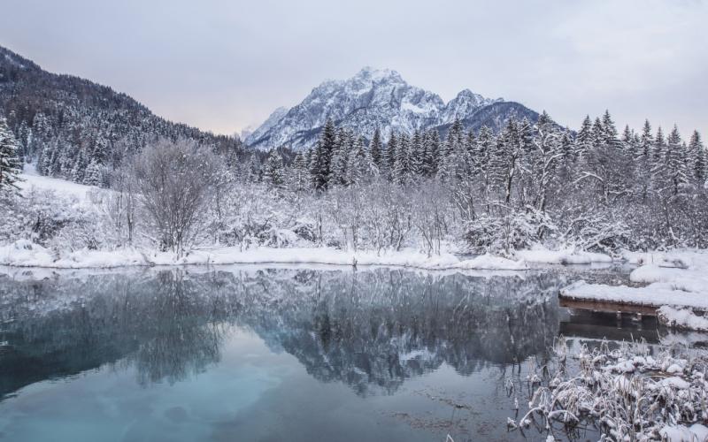 Winter Lake