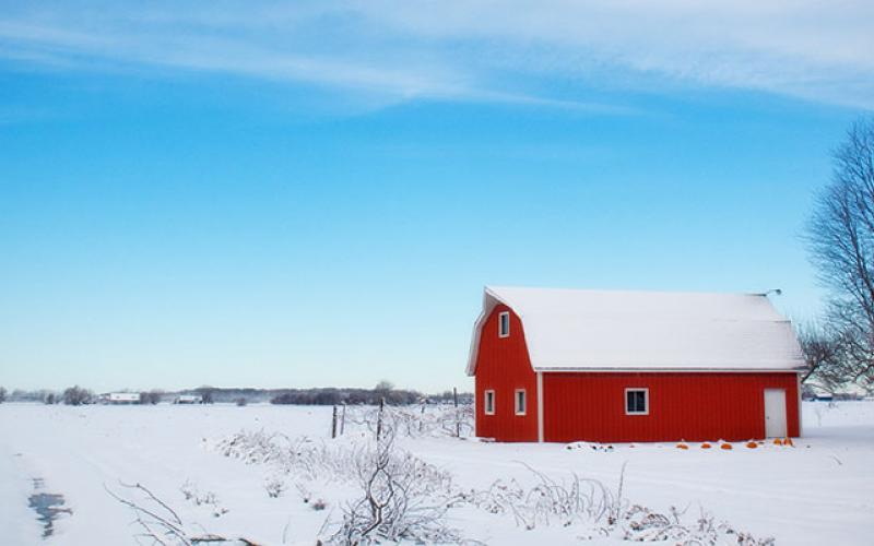 RedBarninSnow