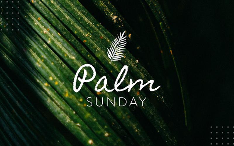 Palm Sunday