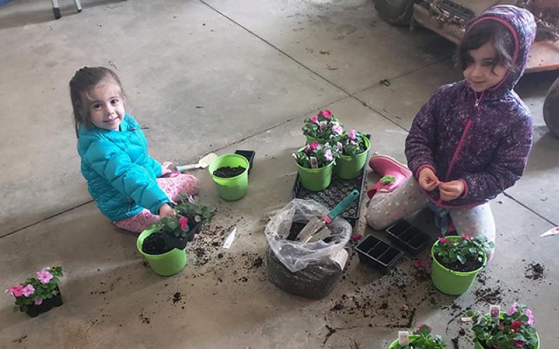 Dupler Grandkids put together baskets for elderly