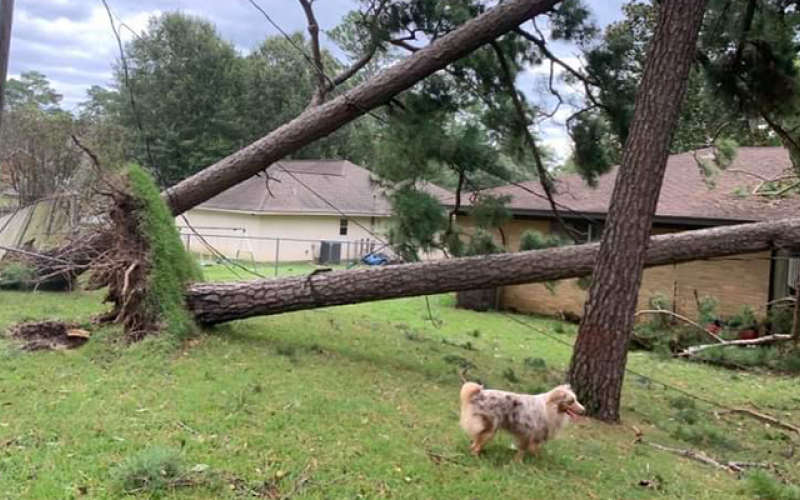 Hurricane Laura