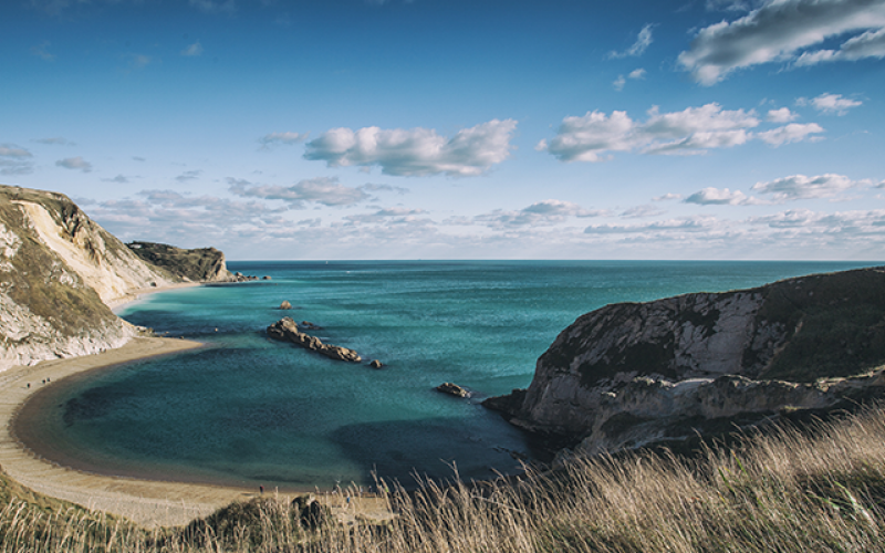 Ocean Overlook