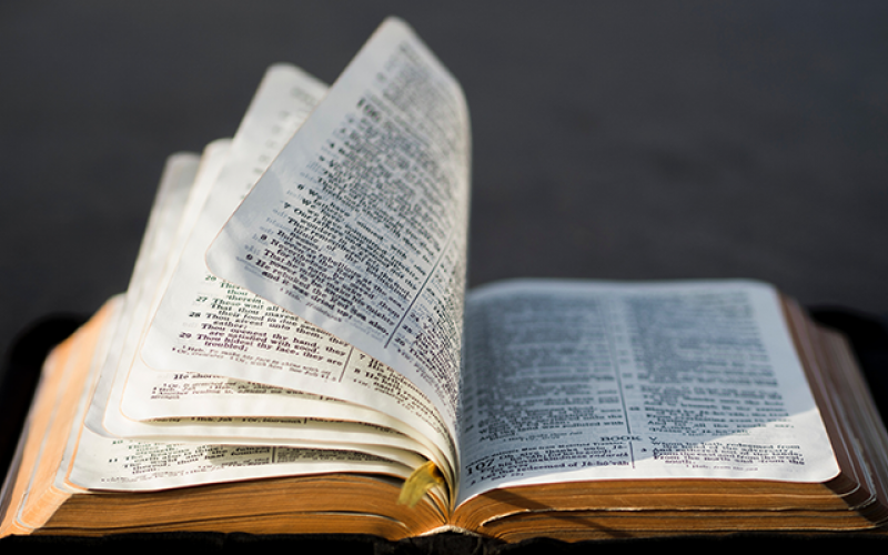 Bibles