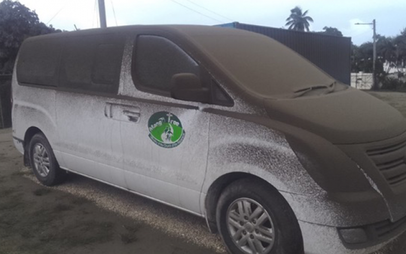 Mango Tree Van