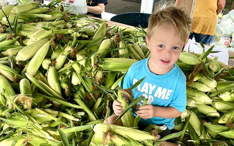 Corn