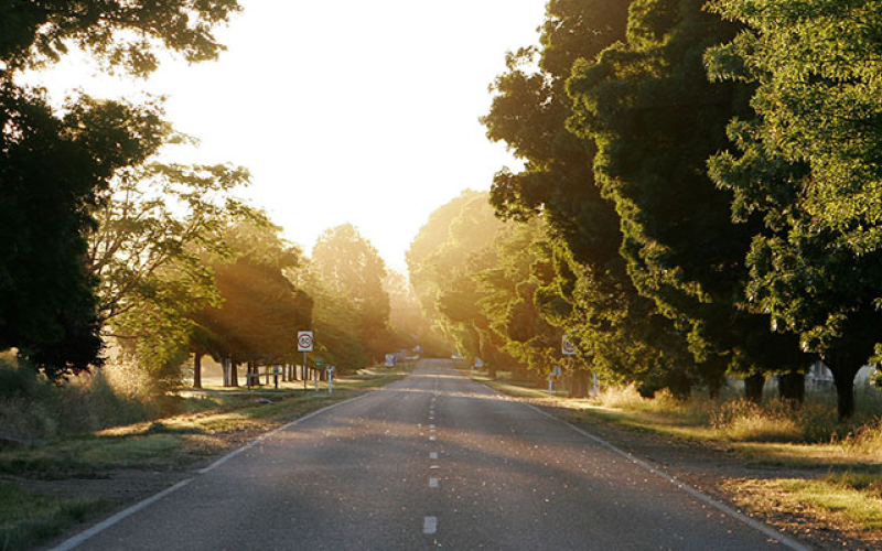 dawn road