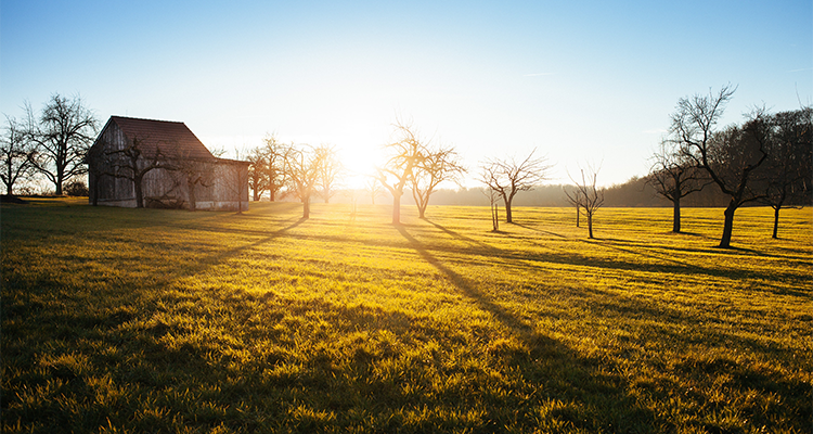 Farm Sunrise